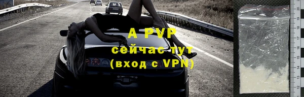 стаф Баксан