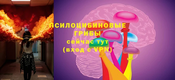 стаф Баксан