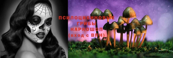 стаф Баксан