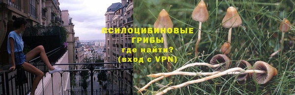 стаф Баксан
