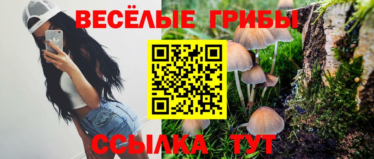Ессентуки  Псилоцибиновые грибы GOLDEN TEACHER  Галлюциногенные грибы прущие грибы  Вход с VPN 